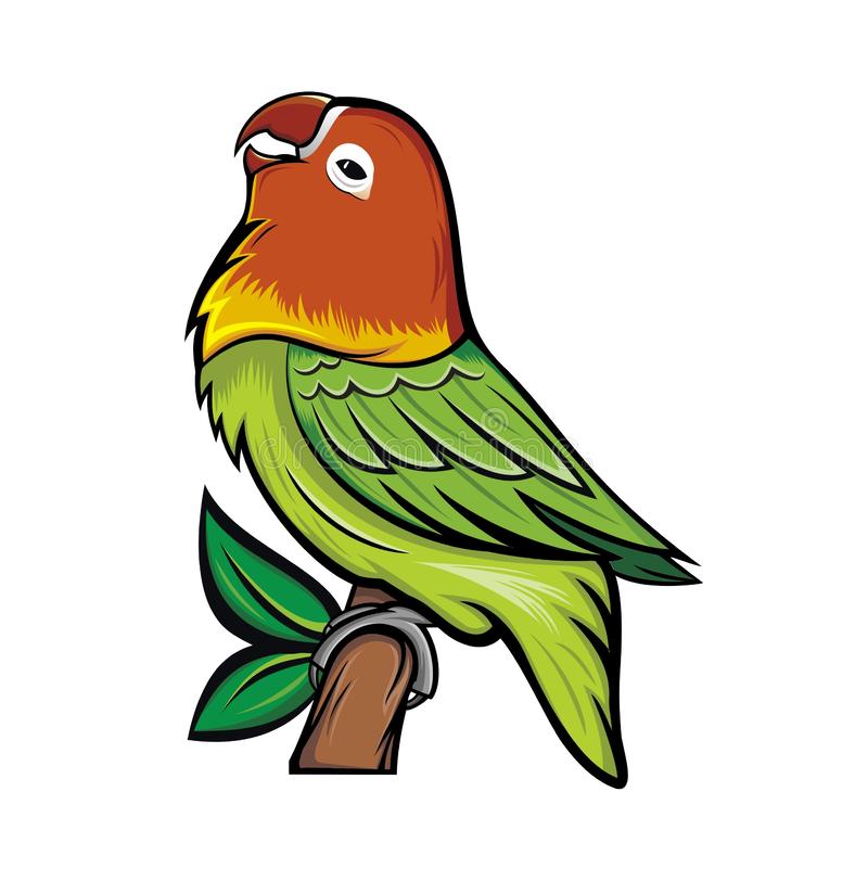 Detail Gambar Burung Lovebird Karikatur Nomer 3