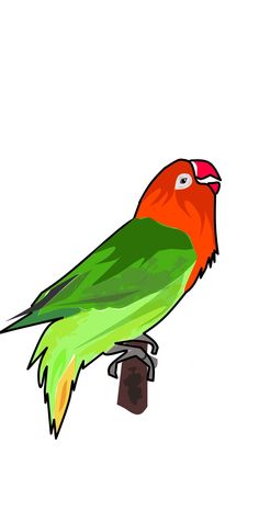 Detail Gambar Burung Lovebird Karikatur Nomer 26