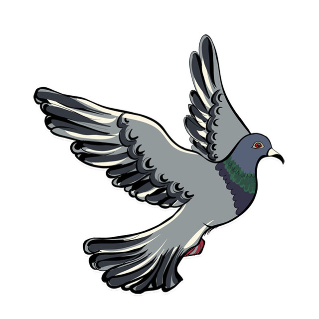 Detail Gambar Burung Merpati Animasi Nomer 21