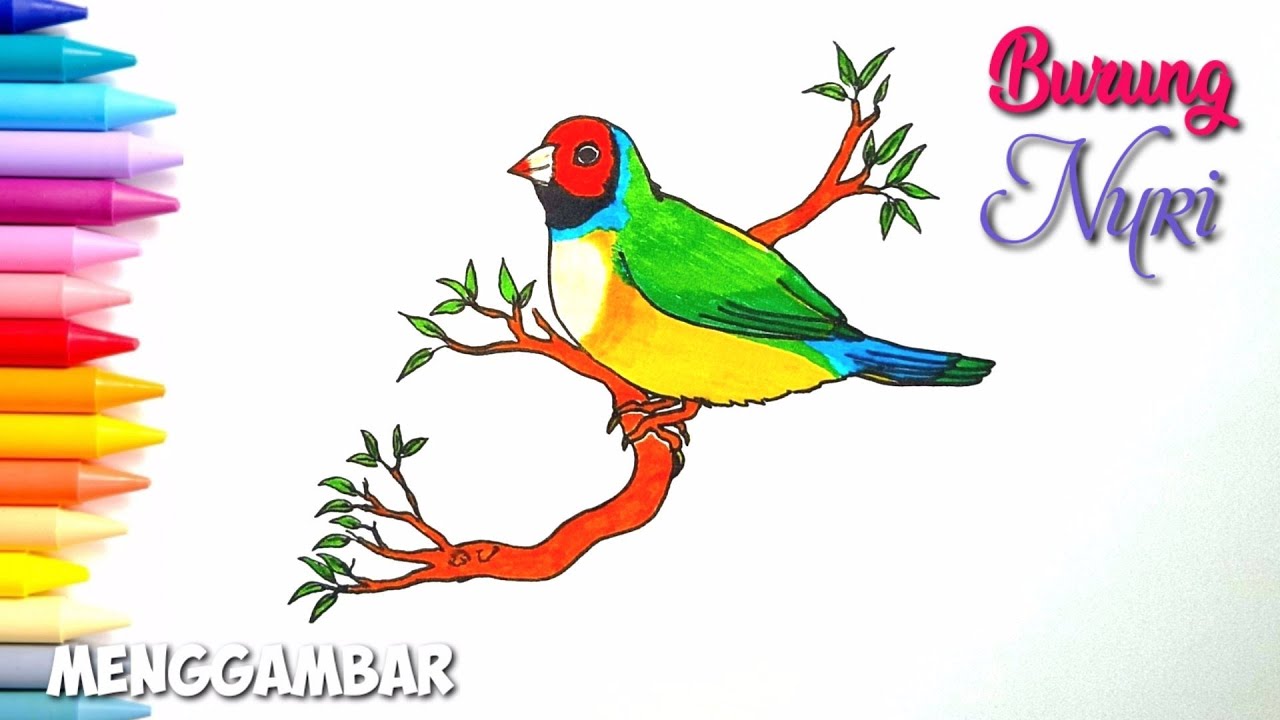 Detail Gambar Burung Mewarnai Nomer 42