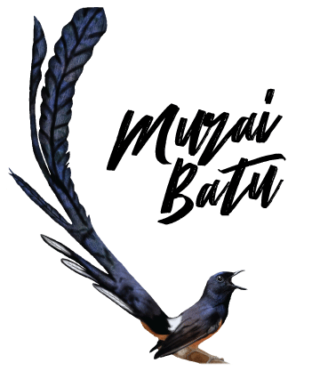 Detail Gambar Burung Murai Batu Vector Logo Murai Batu Nomer 23