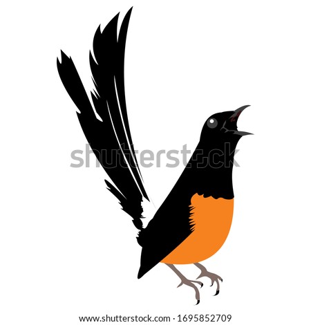 Detail Gambar Burung Murai Batu Vector Logo Peternak Burung Nomer 17