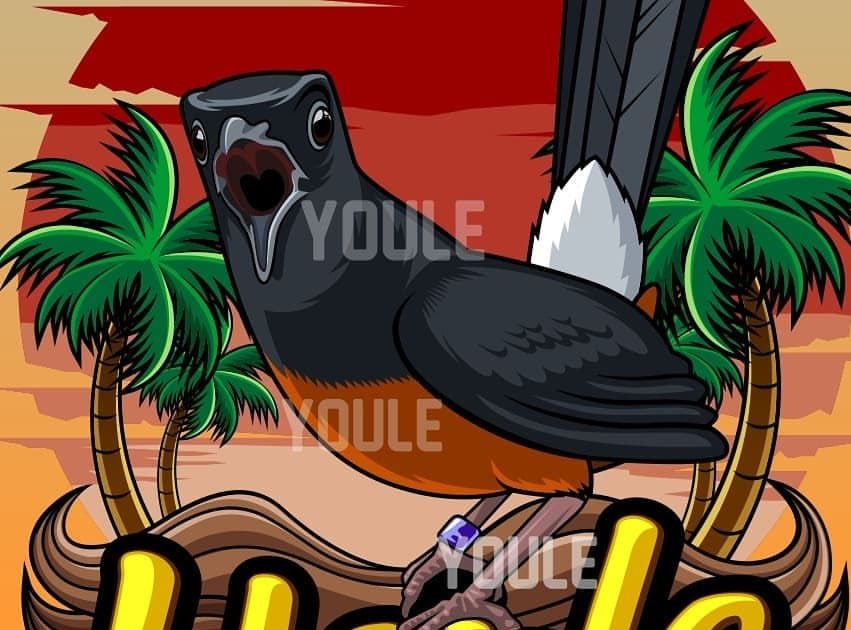 Detail Gambar Burung Murai Batu Vector Lukisan Murai Nomer 7