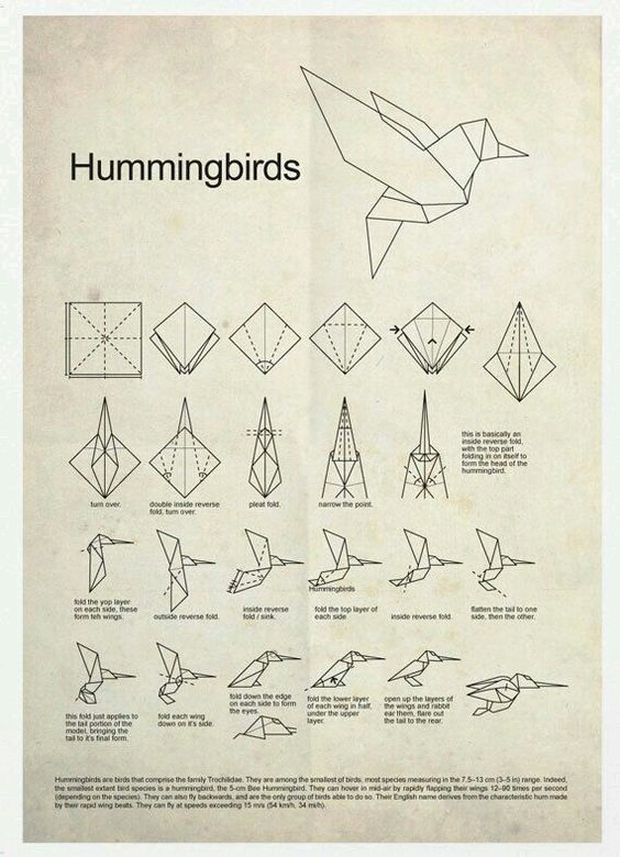 Detail Gambar Burung Origami Nomer 47