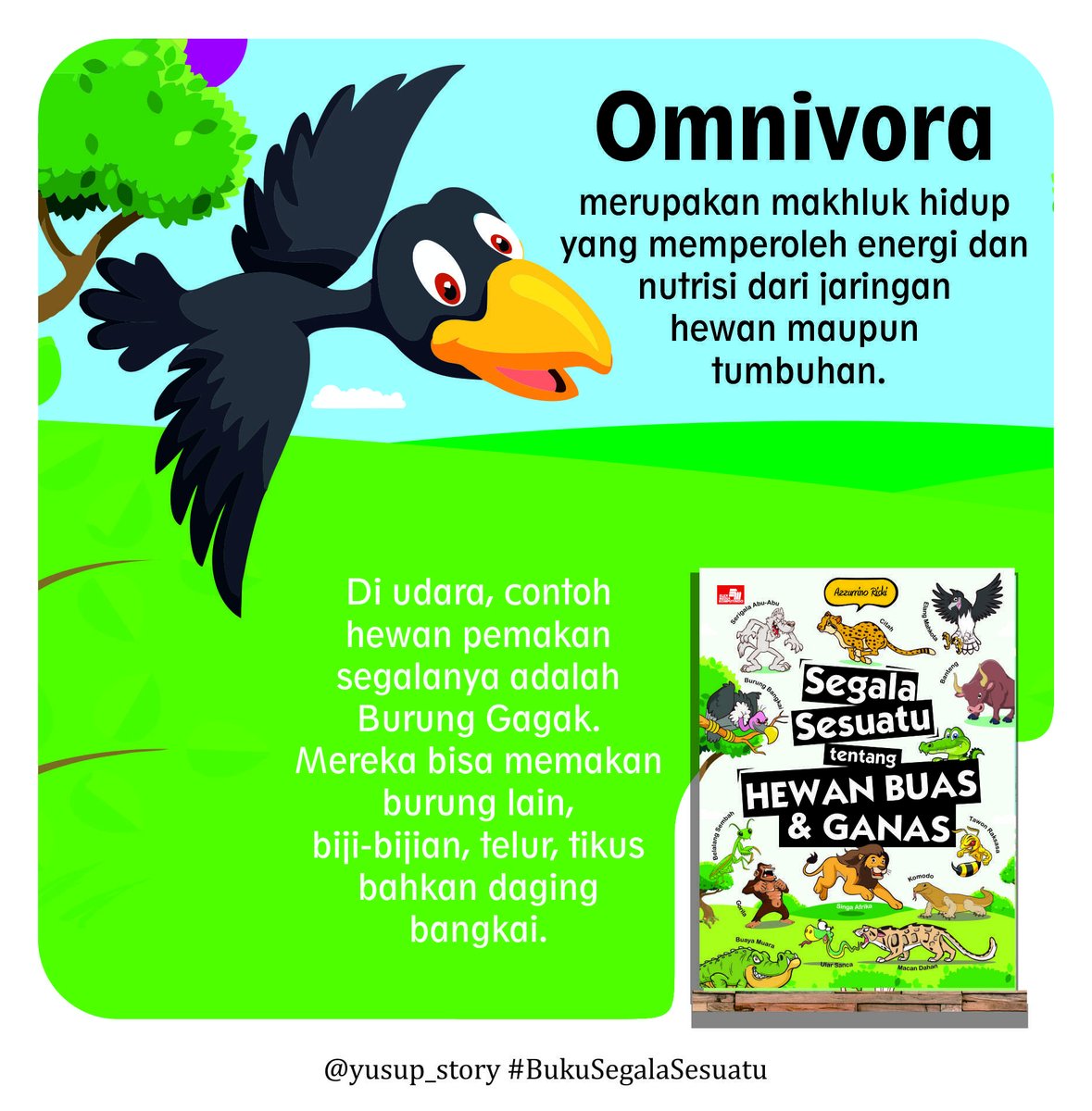 Detail Gambar Burung Pemakan Biji Biji Kartun Nomer 54