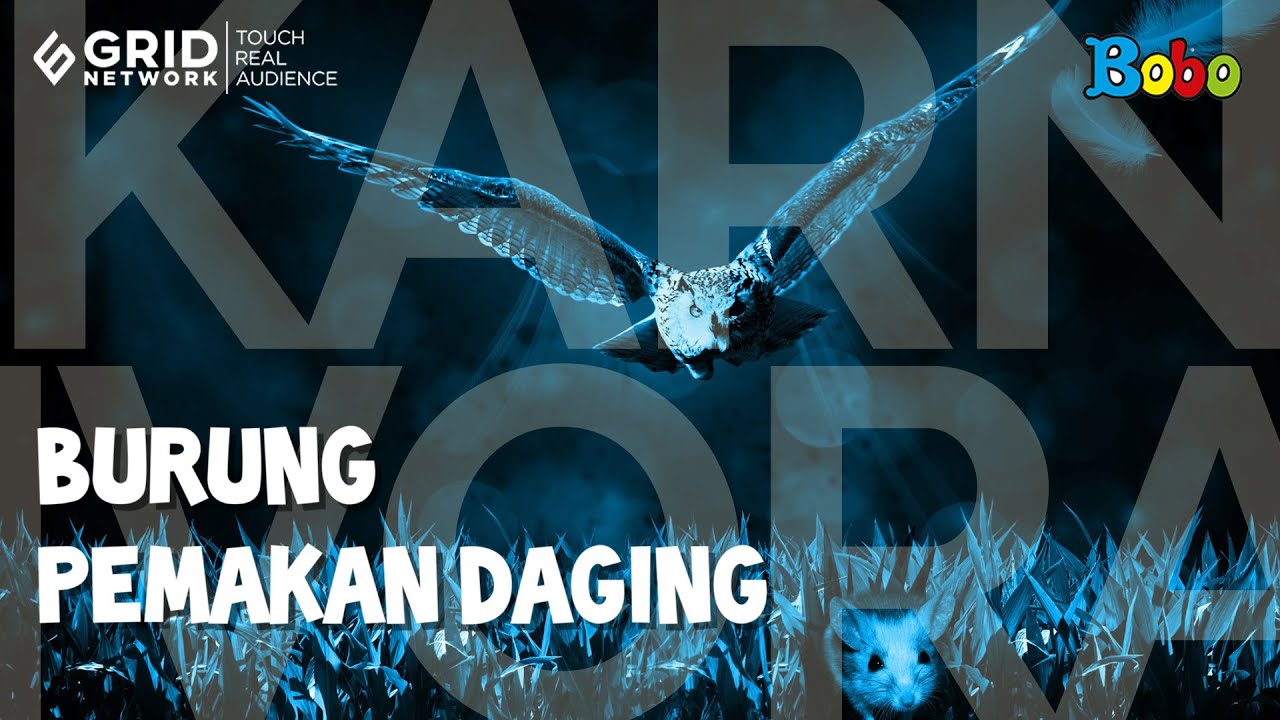 Detail Gambar Burung Pemakan Daging Nomer 37