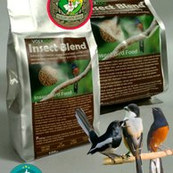 Detail Gambar Burung Pemakan Serangga Nomer 19