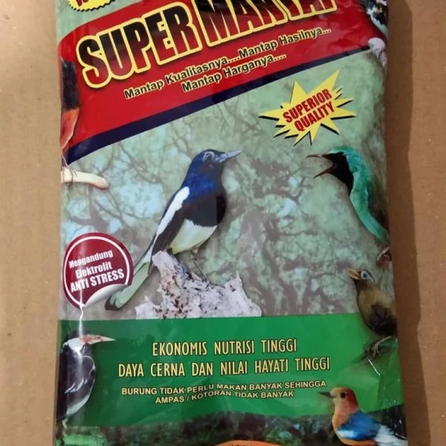 Detail Gambar Burung Pemakan Serangga Nomer 30