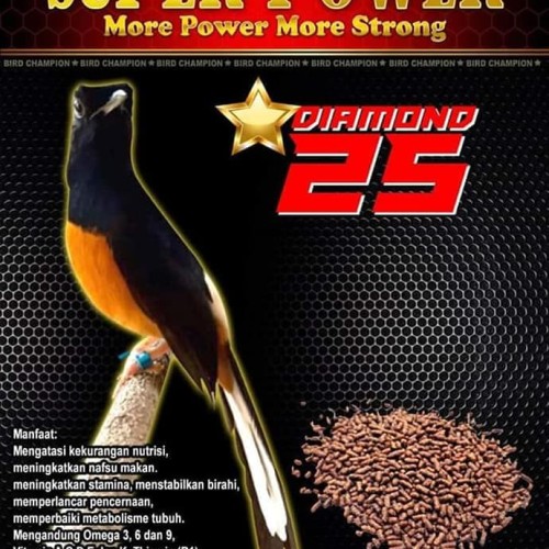 Detail Gambar Burung Pemakan Serangga Nomer 35