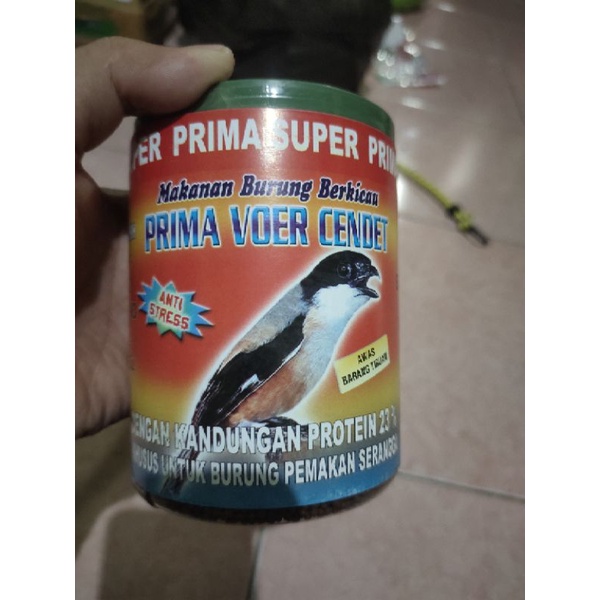 Detail Gambar Burung Pemakan Serangga Nomer 40