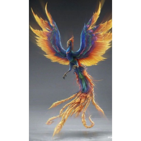 Detail Gambar Burung Phoenix Api Biru Nomer 27