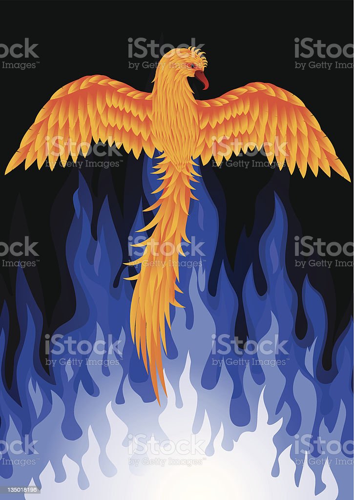Detail Gambar Burung Phoenix Api Biru Nomer 42