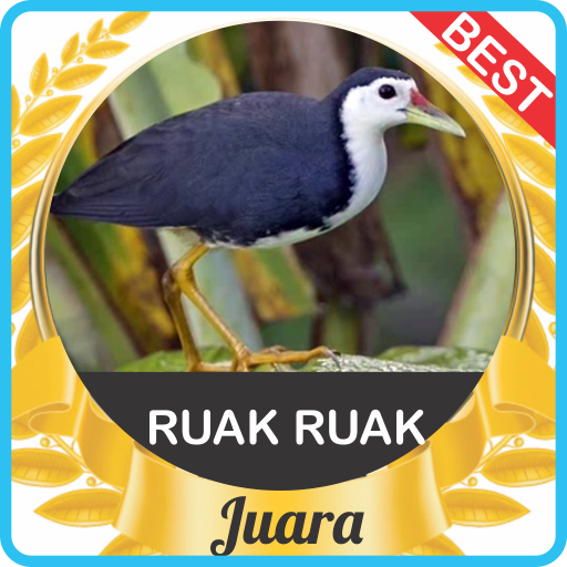 Detail Gambar Burung Ruak Ruak Nomer 28