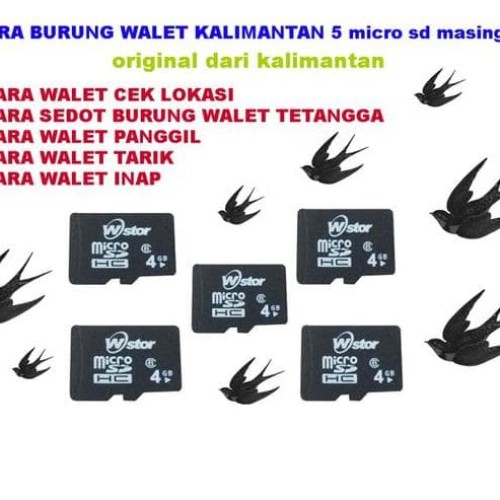 Detail Gambar Burung Sd Nomer 25