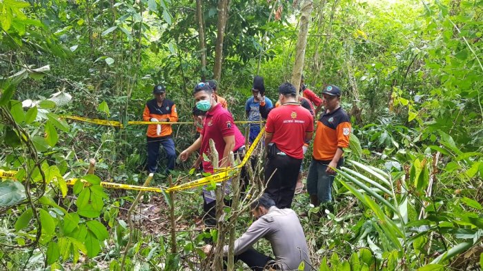 Detail Gambar Burung Sedang Di Hutan Nomer 34