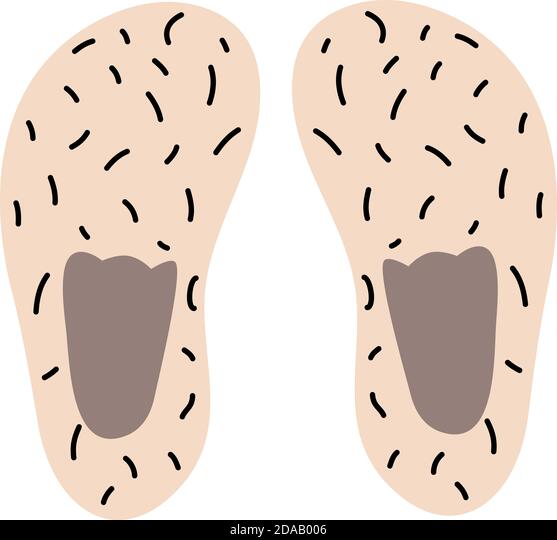 Detail Hyla Soft Nomer 8