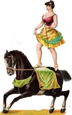 Detail Zirkus Der Pferde Nomer 14