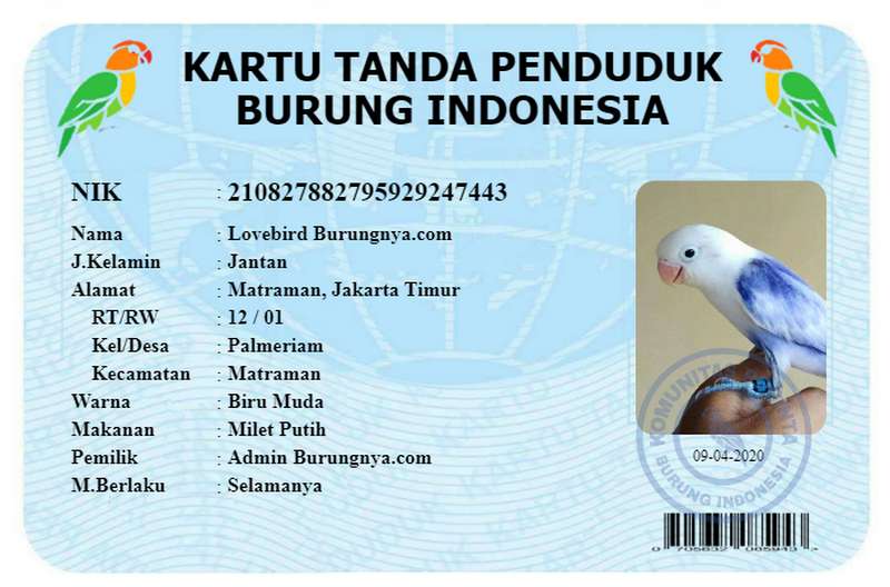 Detail Gambar Burung Tanpa Warna Nomer 41