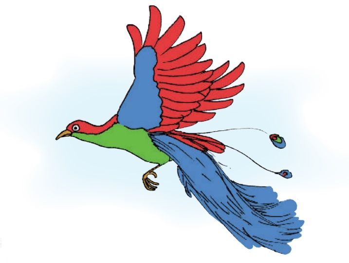 Gambar Burung Tantina - KibrisPDR