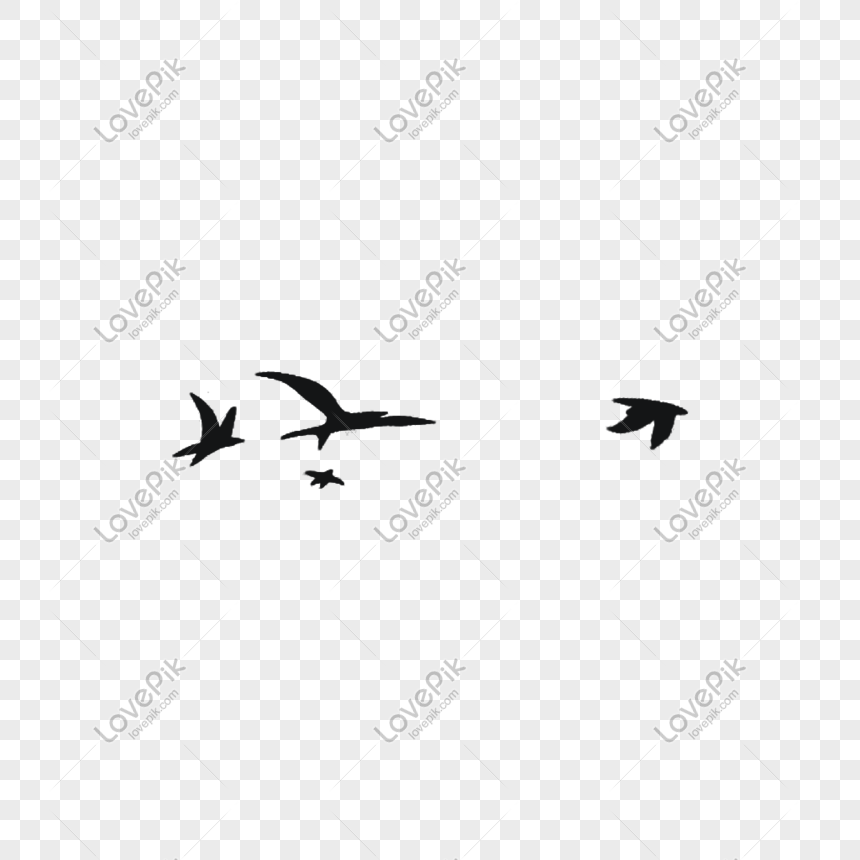 Detail Gambar Burung Terbang Png Nomer 7
