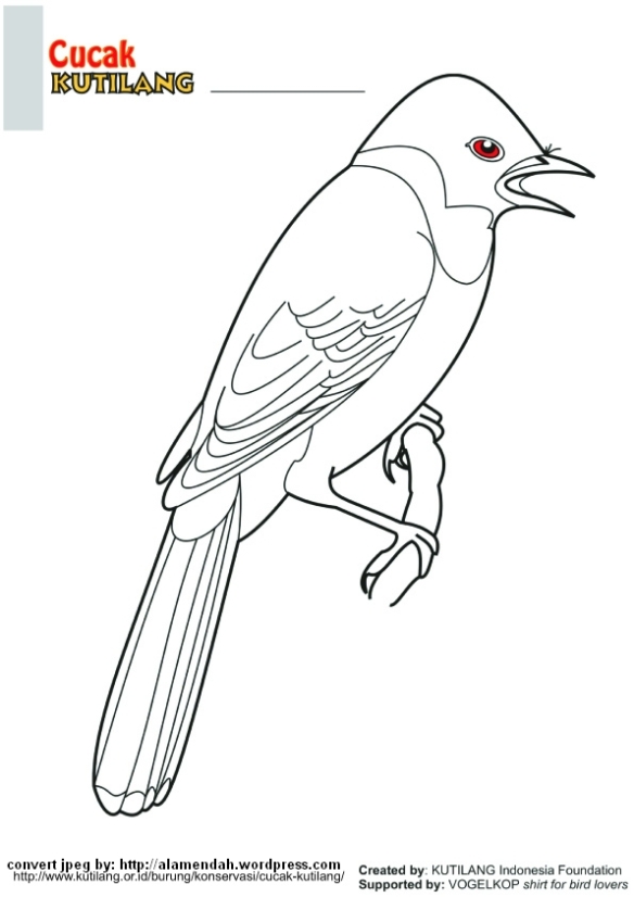 Detail Gambar Burung Untuk Diwarnai Nomer 55