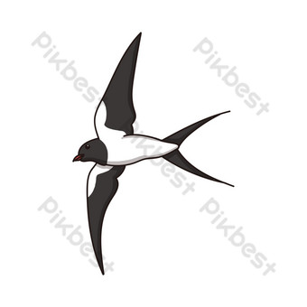 Detail Gambar Burung Walet Terbang Nomer 40
