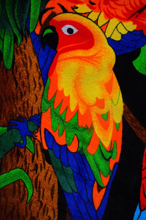 Detail Gambar Burung Warna Warni Nomer 14