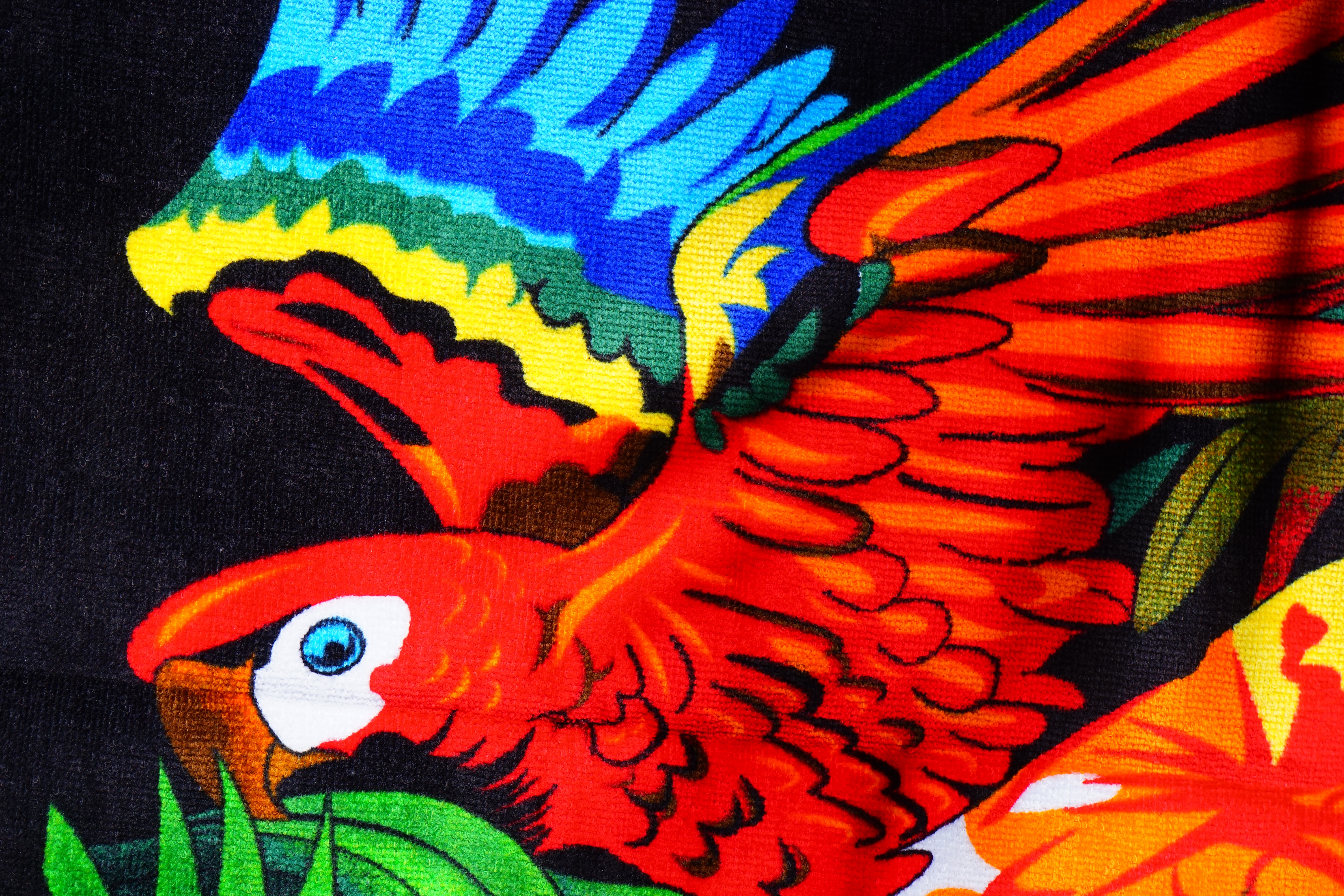 Detail Gambar Burung Warna Warni Nomer 51