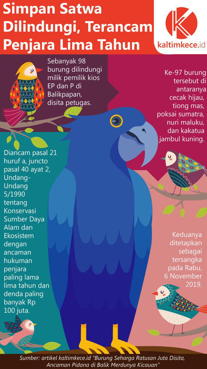 Detail Gambar Burung Yang Dilindungi Nomer 20