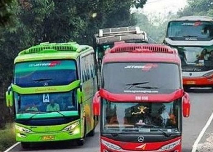 Detail Gambar Bus Antar Kota Nomer 50