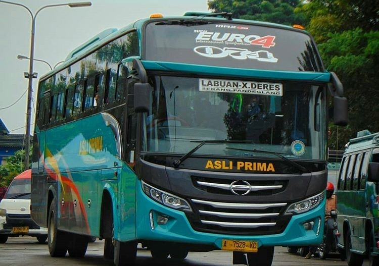 Detail Gambar Bus Asli Nomer 14