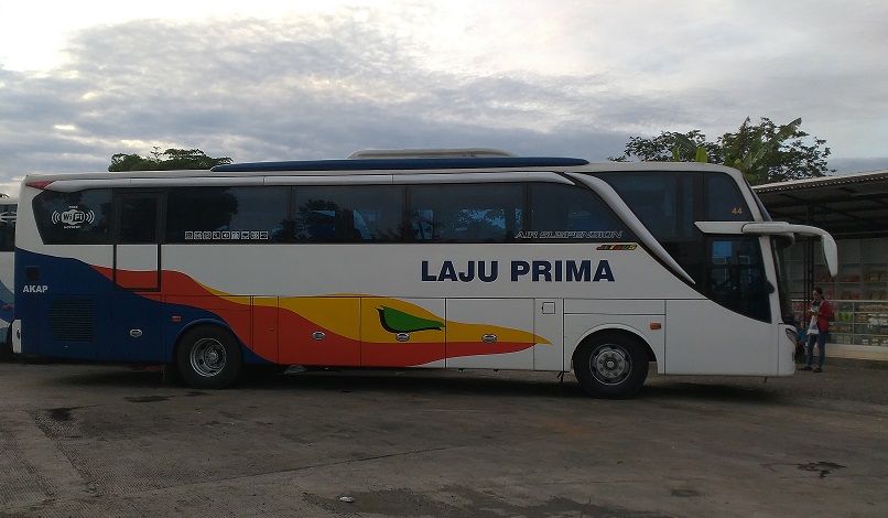 Detail Gambar Bus Asli Nomer 28