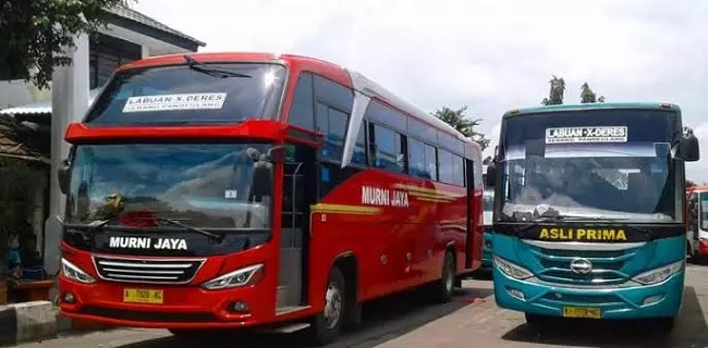 Detail Gambar Bus Asli Nomer 38