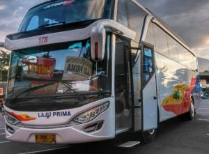 Detail Gambar Bus Asli Nomer 45