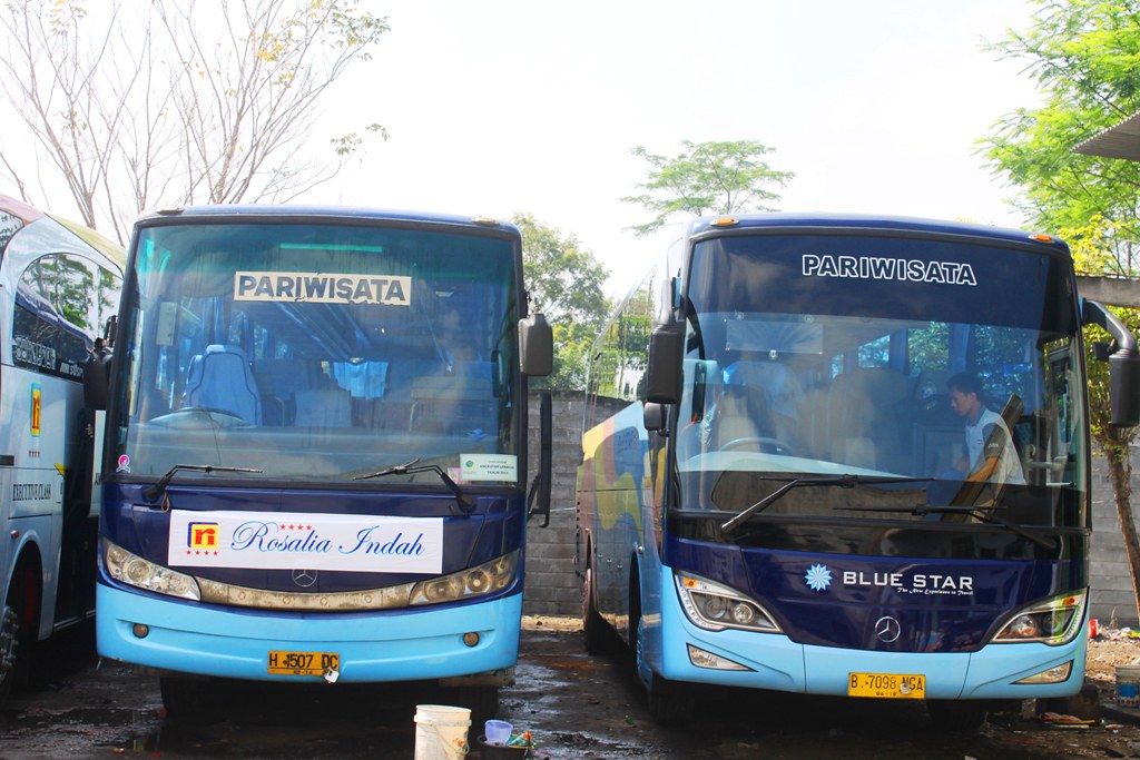 Detail Gambar Bus Blue Star Nomer 20