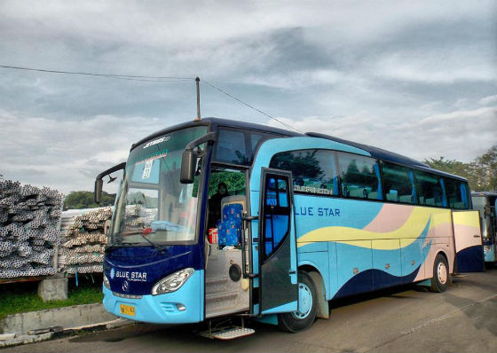 Detail Gambar Bus Blue Star Nomer 27