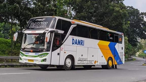 Detail Gambar Bus Damri Nomer 24
