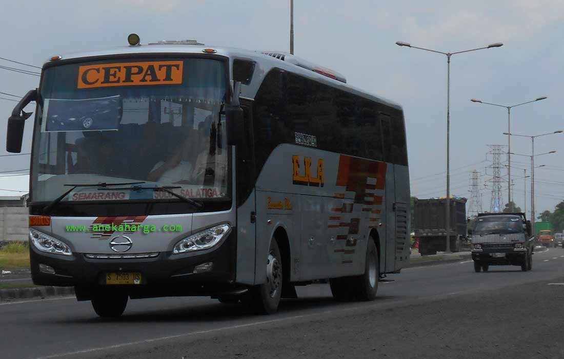 Detail Gambar Bus Eka Nomer 38