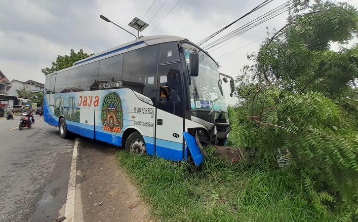 Detail Gambar Bus Jaya Nomer 18