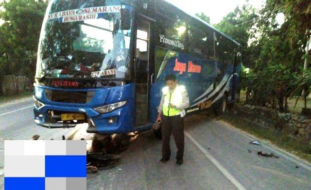 Detail Gambar Bus Jaya Nomer 32