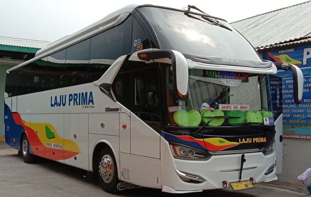 Detail Gambar Bus Laju Prima Nomer 33