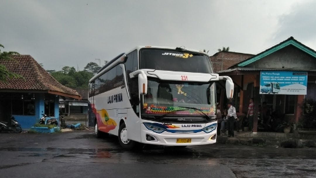 Detail Gambar Bus Laju Prima Nomer 51