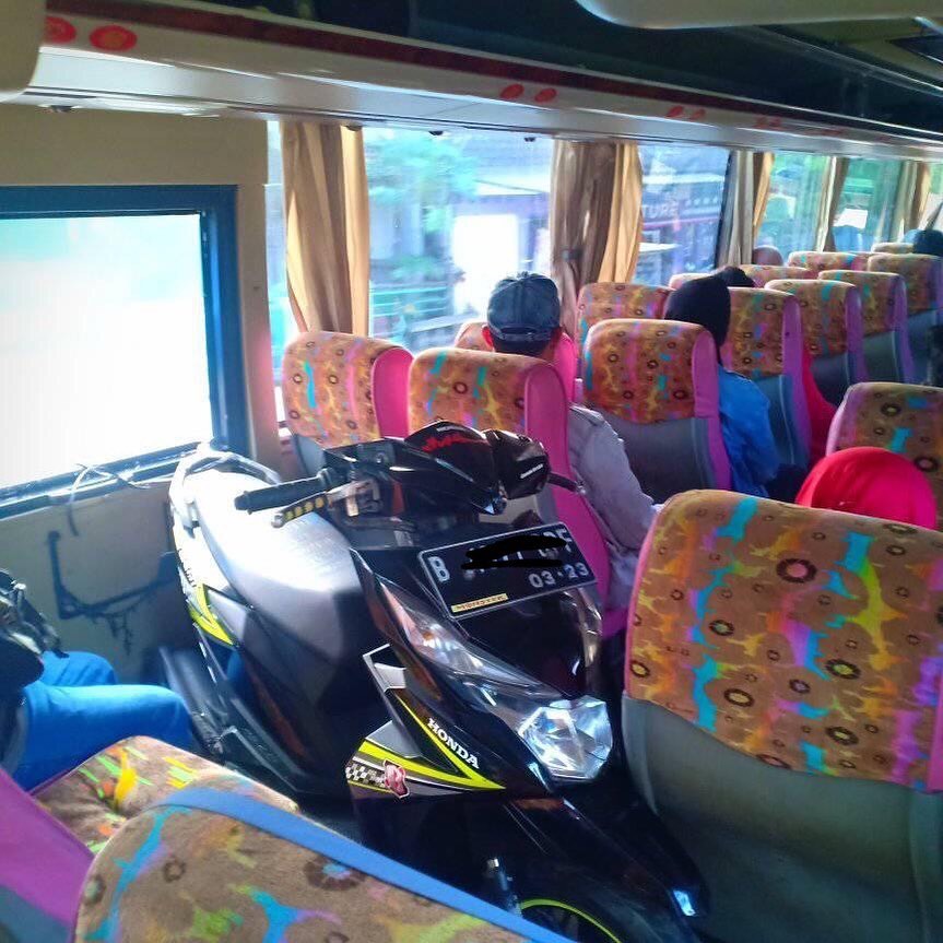 Detail Gambar Bus Lucu Nomer 32