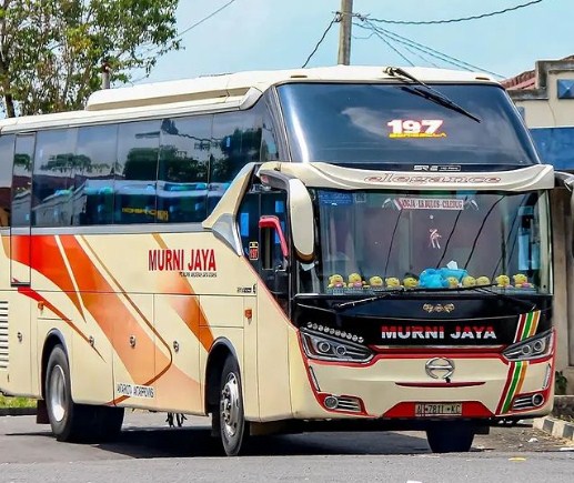 Detail Gambar Bus Murni Jaya Nomer 2