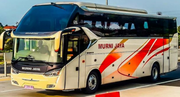Detail Gambar Bus Murni Jaya Nomer 15
