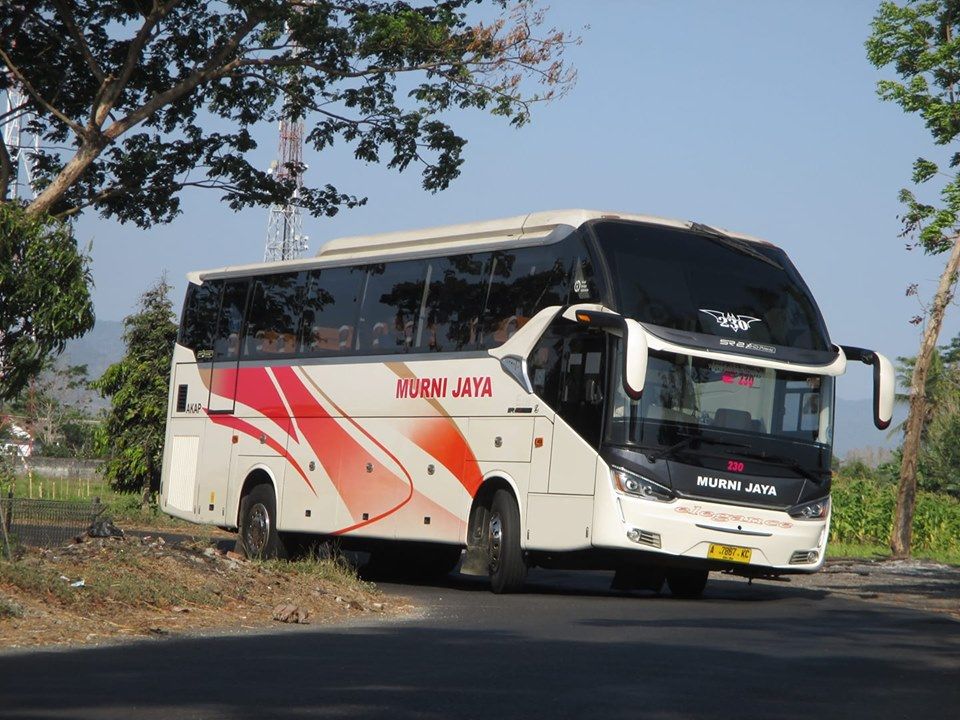 Detail Gambar Bus Murni Jaya Nomer 32