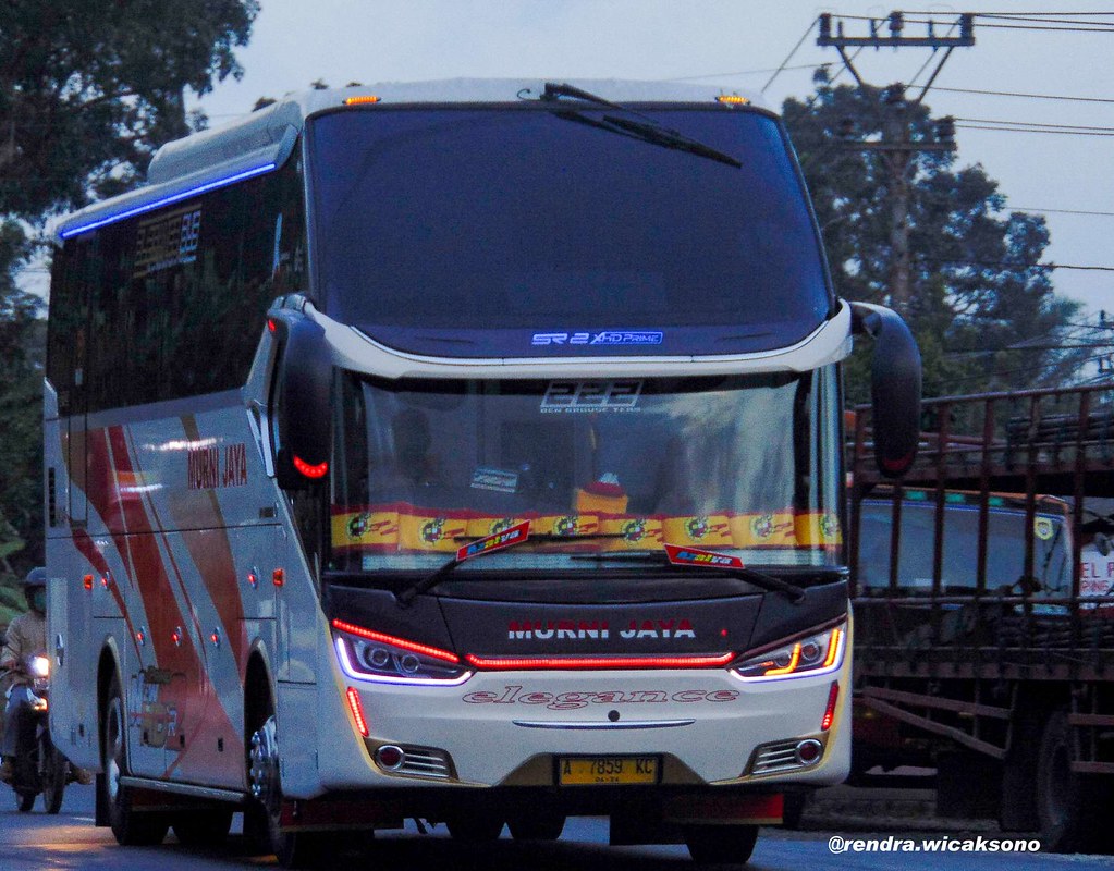 Detail Gambar Bus Murni Jaya Nomer 36