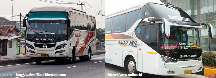 Detail Gambar Bus Murni Jaya Nomer 45