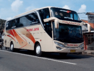 Detail Gambar Bus Murni Jaya Nomer 7