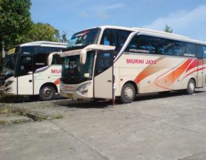 Detail Gambar Bus Murni Jaya Nomer 10